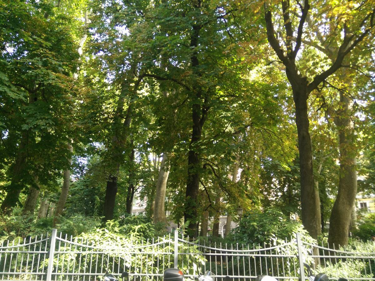 Casa Juli: 70Mq-Centro-Triest Zewnętrze zdjęcie